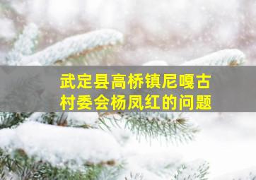 武定县高桥镇尼嘎古村委会杨凤红的问题