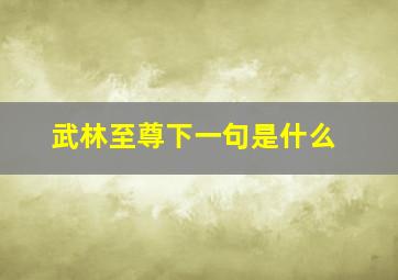 武林至尊下一句是什么