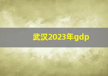 武汉2023年gdp