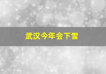 武汉今年会下雪