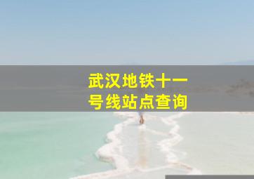 武汉地铁十一号线站点查询