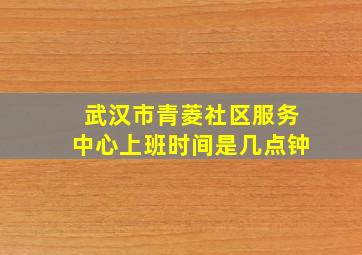 武汉市青菱社区服务中心上班时间是几点钟