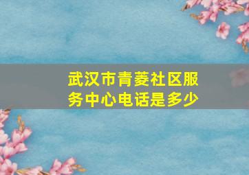 武汉市青菱社区服务中心电话是多少