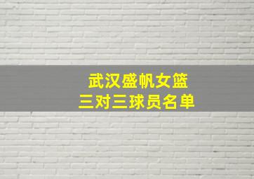 武汉盛帆女篮三对三球员名单