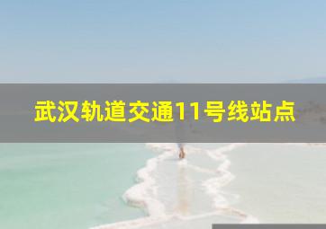 武汉轨道交通11号线站点