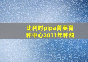 比利时pipa菁英育种中心2011年种鸽