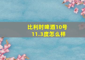 比利时啤酒10号11.3度怎么样