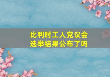 比利时工人党议会选举结果公布了吗