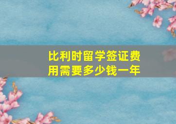 比利时留学签证费用需要多少钱一年