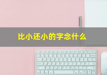 比小还小的字念什么