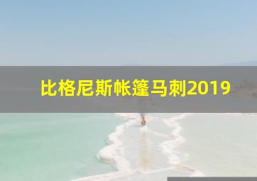 比格尼斯帐篷马刺2019