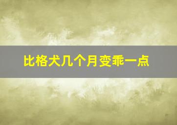 比格犬几个月变乖一点