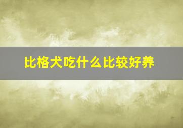 比格犬吃什么比较好养