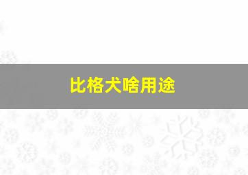 比格犬啥用途