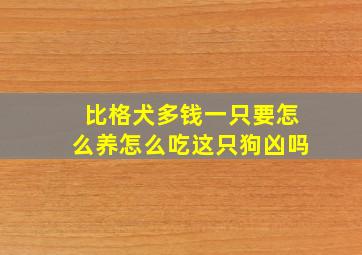 比格犬多钱一只要怎么养怎么吃这只狗凶吗