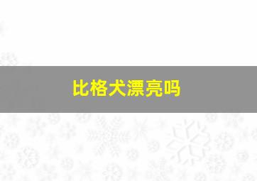 比格犬漂亮吗