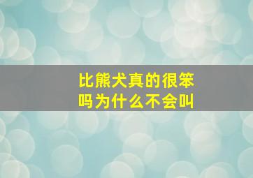 比熊犬真的很笨吗为什么不会叫