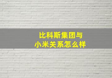 比科斯集团与小米关系怎么样