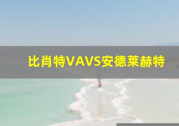 比肖特VAVS安德莱赫特