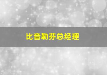 比音勒芬总经理