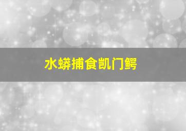 水蟒捕食凯门鳄