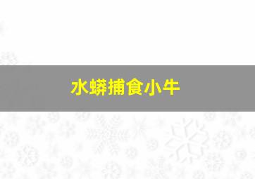 水蟒捕食小牛