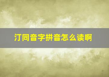 汀同音字拼音怎么读啊