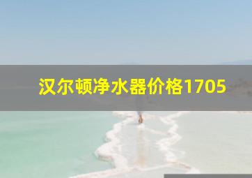 汉尔顿净水器价格1705