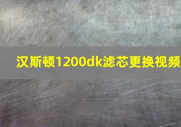 汉斯顿1200dk滤芯更换视频