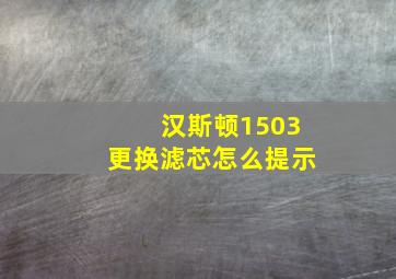 汉斯顿1503更换滤芯怎么提示