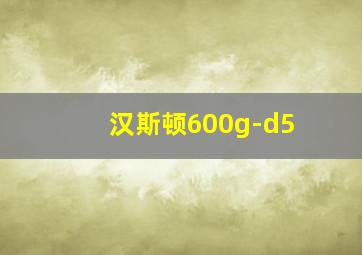 汉斯顿600g-d5