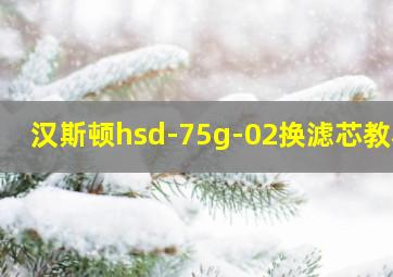 汉斯顿hsd-75g-02换滤芯教程