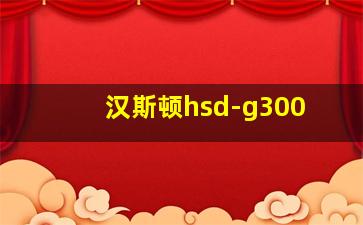 汉斯顿hsd-g300