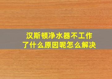 汉斯顿净水器不工作了什么原因呢怎么解决