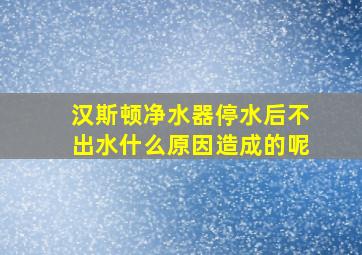 汉斯顿净水器停水后不出水什么原因造成的呢