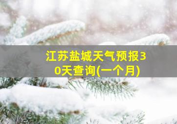 江苏盐城天气预报30天查询(一个月)