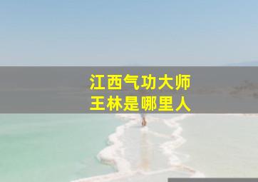 江西气功大师王林是哪里人