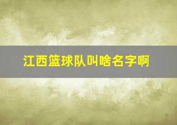 江西篮球队叫啥名字啊