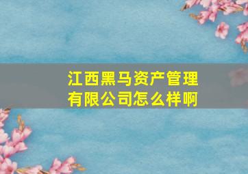 江西黑马资产管理有限公司怎么样啊