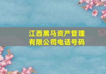 江西黑马资产管理有限公司电话号码