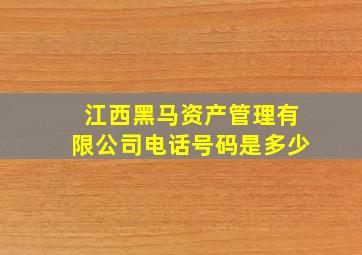 江西黑马资产管理有限公司电话号码是多少