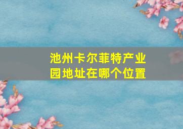 池州卡尔菲特产业园地址在哪个位置