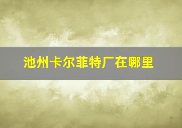 池州卡尔菲特厂在哪里