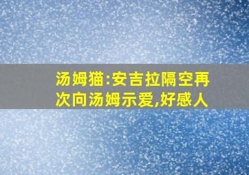 汤姆猫:安吉拉隔空再次向汤姆示爱,好感人