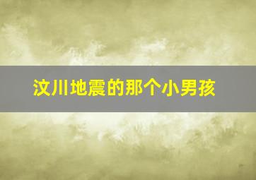 汶川地震的那个小男孩