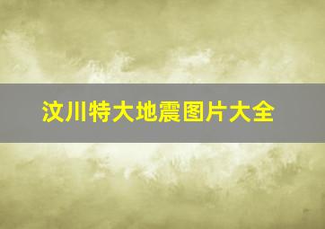 汶川特大地震图片大全