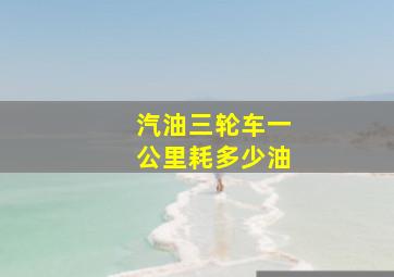 汽油三轮车一公里耗多少油