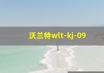 沃兰特wlt-kj-09