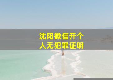 沈阳微信开个人无犯罪证明