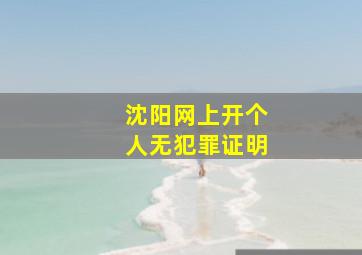 沈阳网上开个人无犯罪证明